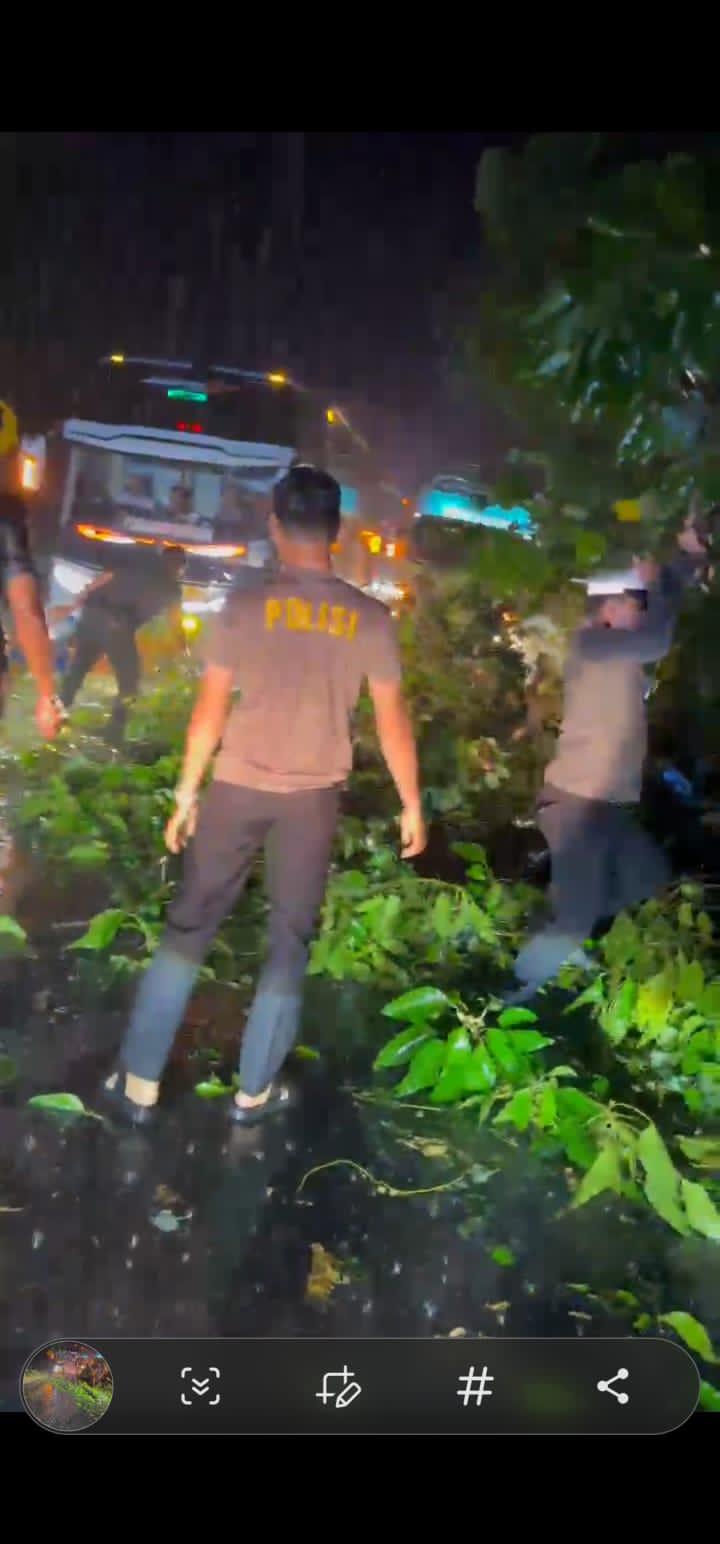 Respons Cepat Satlantas Polres Tebo Amankan Lokasi Pohon Tumbang Di Malam Hari