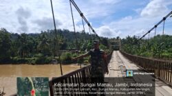 Koramil 420-07/Sei Manau,Laksanakan Monitoring Gulbencal di Wilayah Binaan