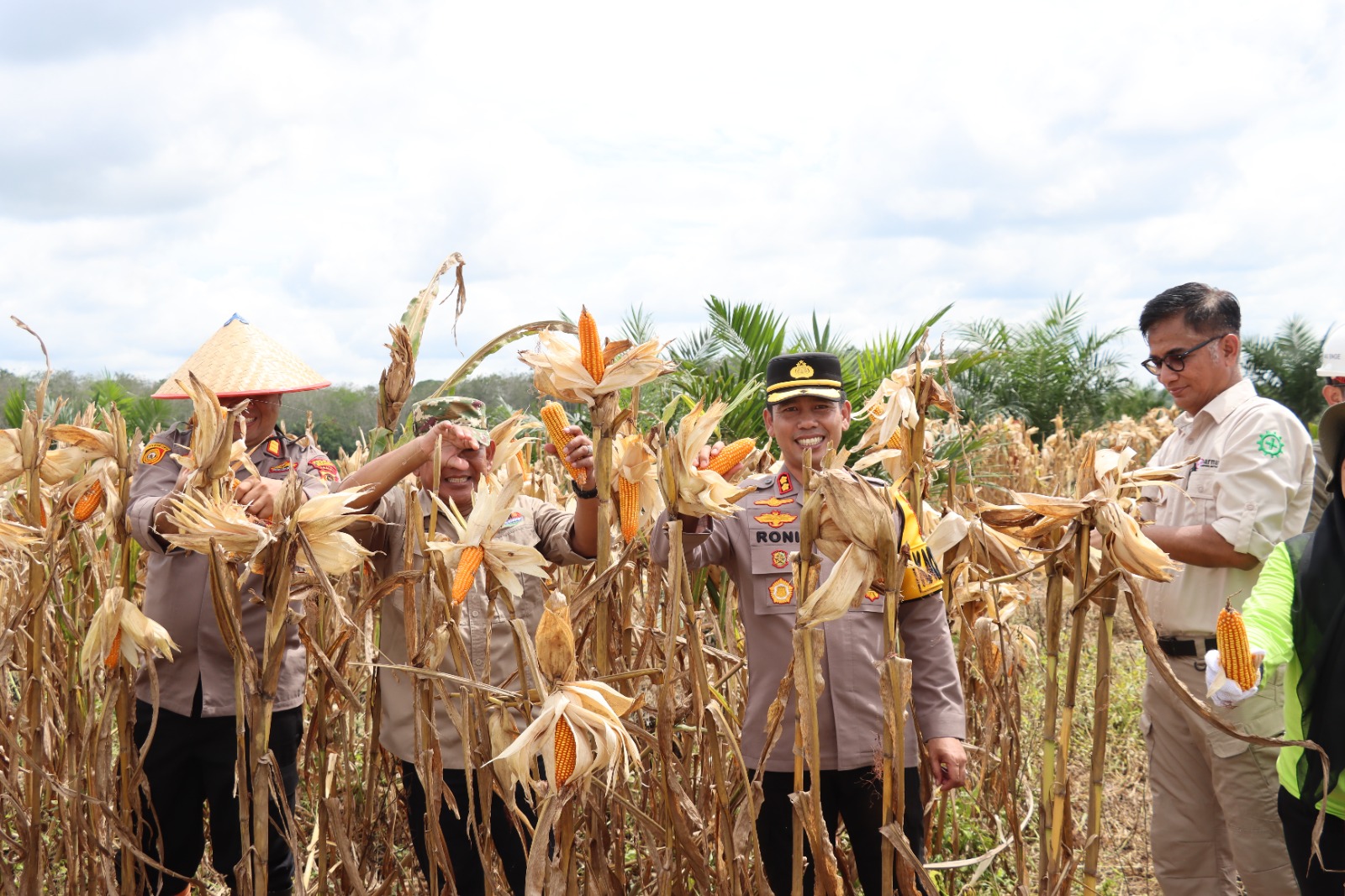 Wabup dan Kapolres Panen Raya Jagung di Kebun KDA Program Ketahanan Pangan Asta Cita Presiden Prabowo