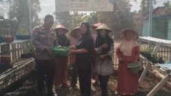 Bripka Olden Sitorus ,,,,Gasss Full Dukung Program Ketahanan Pangan Sambangi Petani Jagung dan Sayuran 