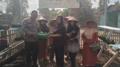 Bripka Olden Sitorus ,,,,Gasss Full Dukung Program Ketahanan Pangan Sambangi Petani Jagung dan Sayuran 