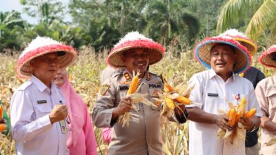 Program Astacita Presiden tentang ketahanan pangan Polres Bungo menggelar Panen Raya Jagung tahap 1