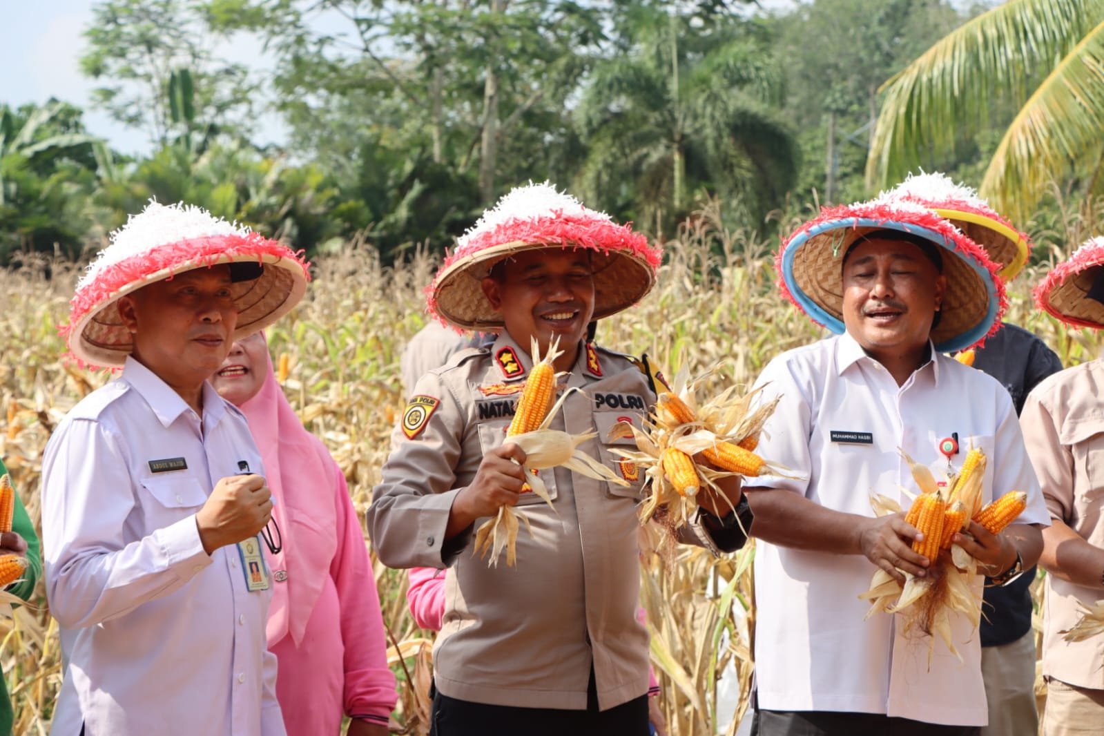Program Astacita Presiden tentang ketahanan pangan Polres Bungo menggelar Panen Raya Jagung tahap 1