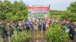Peduli Lingkungan Pesisir, Danlanal Beserta Prajurit Lanal Bintan Ikuti Acara Penanaman 5.000 Pohon Mangrove