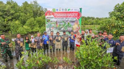 Peduli Lingkungan Pesisir, Danlanal Beserta Prajurit Lanal Bintan Ikuti Acara Penanaman 5.000 Pohon Mangrove