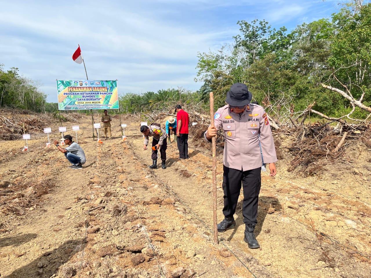 Penanaman  jagung Di Desa Jaya Mulya, Wujud Dukungan Ketahanan Pangan Dan Program Makan Gratis
