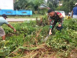 Kopmpak,Babinsa Goro Bersama Warga Di Desa Binaannya.