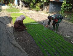 Serda Castam melaksanakan pengecekan penyemaian bibit padi bersama PPL Kelurahan Sarolangun Kembang.