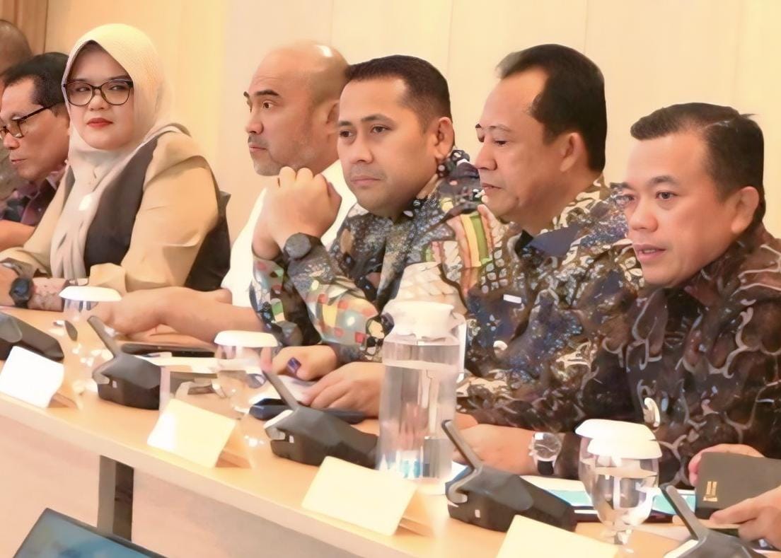 Audensi dengan Menkes RI, Bupati Merangin Dorong Puskesmas Jadi RS Type D
