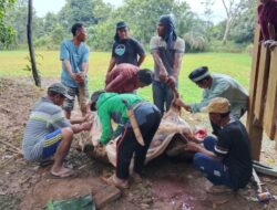 Meriahnya Idul Adha 1446 H Bersama Masyarakat dan Keluarga Besar Kodim 0420