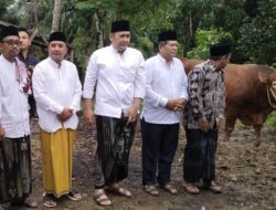 Bupati Merangin Sholat Idul Adha 1446 H di Sungai Manau Sekaligus Serahkan Hewan Kurban dari Presiden dan Pemkab Merangin