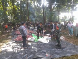 Babinsa Koramil 04/Sarolangun Sertu Harjanto, bantu Pemotongan hewan Qurban di Desa Rantau Gedang Kecamatan. Bathin Vlll