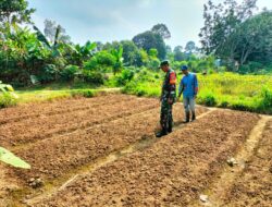 Dampingi Petani di Sarolangun, Dukung Swasembada Pangan Lewat Tanaman Kangkung