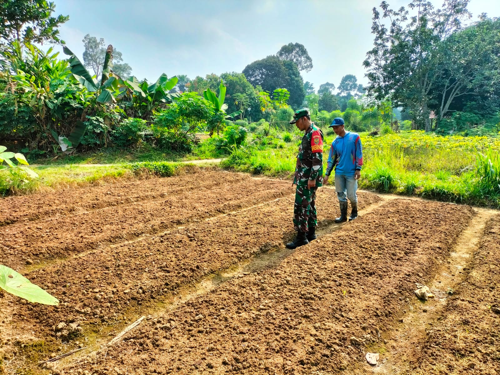 Dampingi Petani di Sarolangun, Dukung Swasembada Pangan Lewat Tanaman Kangkung