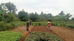 Bantu Warga Tanam Bayam, Wujud Nyata Dukungan TNI Terhadap Ketahanan Pangan