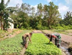 Dampingi Petani Bayam, Wujudkan Kemitraan TNI dan Rakyat