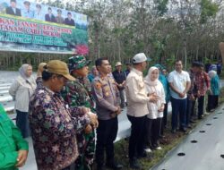 Danramil 420-02/Ma Limun Bersama Forkopimda Hadiri Kegiatan Tanam Cabai di Singkut, Dukung Ketahanan Pangan Daerah