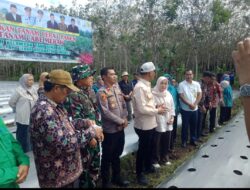 Danramil 02/Ma limun Bersama Forkopinda Hadiri Kegiatan Tanam Cabai dalam Rangka Ketahanan Pangan 