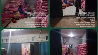 Mafia Bawang Putih Kuasai Kubu Raya: Penyelundupan Terang-Terangan, Aparat Diduga Tutup Mata