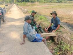Babinsa Koramil 420 – 02/Muara Limun Laksanakan Komsos Bersama Petani Padi di Desa Tendah kecamatan Cermin Nan Gedang