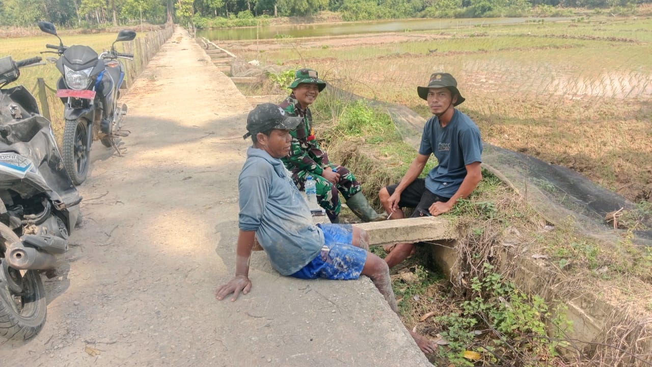 Babinsa Koramil 420 – 02/Muara Limun Laksanakan Komsos Bersama Petani Padi di Desa Tendah kecamatan Cermin Nan Gedang