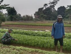 Aktif Dampingi Warga dalam Program Ketahanan Pangan