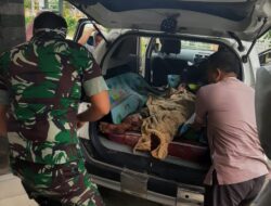 ” Harimau Sumatera Serang Warga ” Babinsa Bersama Tim Kesehatan Sigap Evakuasi Korban