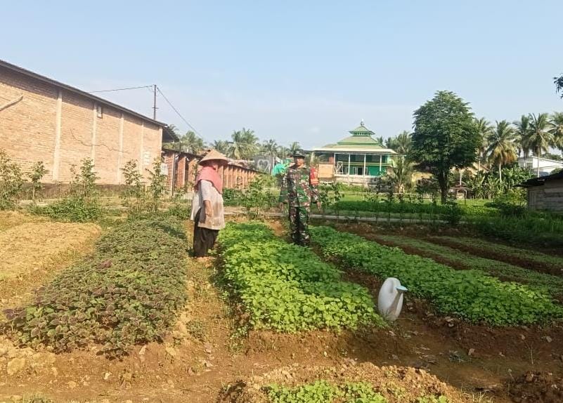 Bantu Petani, Wujud Nyata Dukungan Ketahanan Pangan di Wilayah