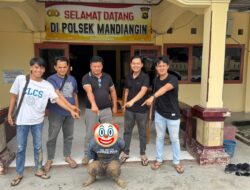 Polsek Mandiangin Ungkap Kasus Penggelapan Motor Bermodus Meminjam Sepeda Motor.