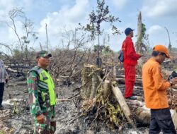 Cegah Karhutla, Babinsa Gencarkan Patroli di Lahan Perkebunan Warga