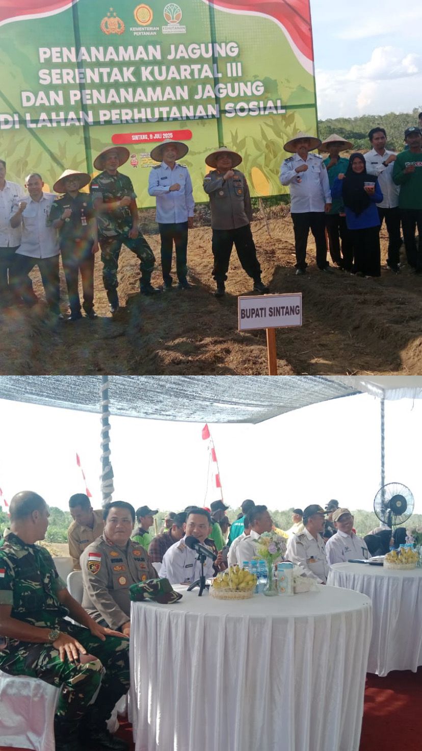 Polres Sintang Laksanakan Penanaman Jagung Serentak Kuartal 3 Di Lahan Perhutanan Sosial