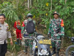 Cegah Karhutla, Babinsa Gelar Patroli di Lahan Rawan Kebakaran