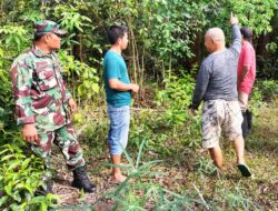 Cegah Karhutla, Babinsa Laksanakan Patroli