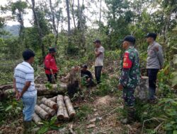 Babinsa Koramil 420-01/Batang Asai, Serda Nobon Putra Patroli Karhutlah di Desa Kasiro Langkah preventif deteksi dini potensi Karhutla Bersama masyarakat 