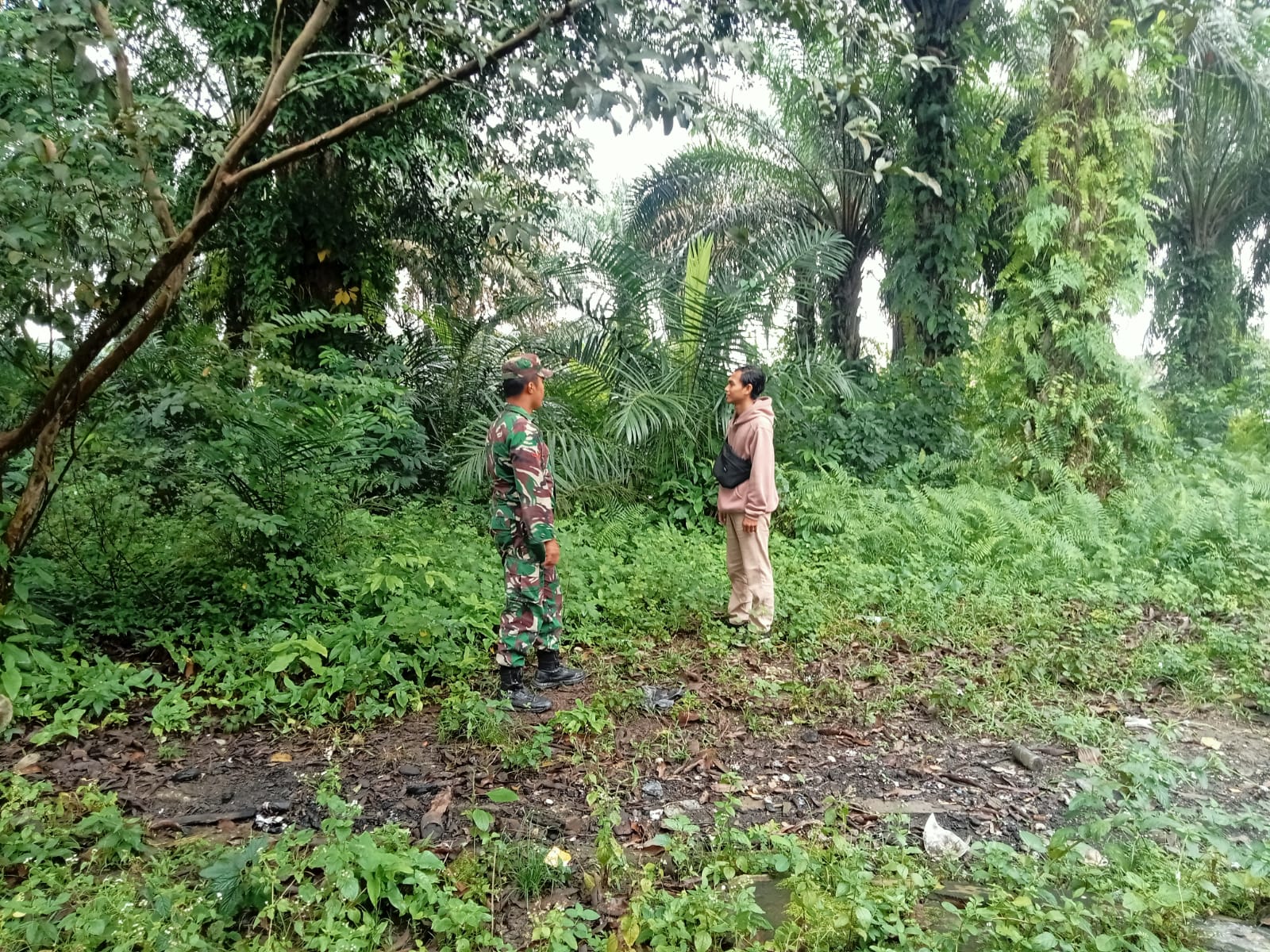 Upaya Mencegah Karhutla Babinsa Rutin Patroli Di Desa Binaan