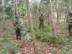 Cegah Karhutlah Babinsa Patroli diwilayah Binaan