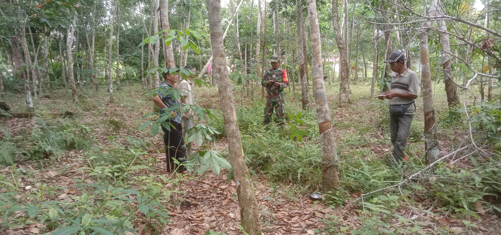 Cegah Karhutlah Babinsa Patroli diwilayah Binaan
