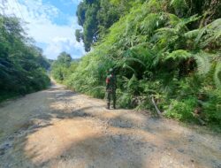Cegah Karhutla,Babinsa Koramil 01/Batang asai Gelar Patroli Lahan Rawan Kebakaran