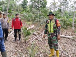 Cegah Karhutala, Babinsa Koramil 03/Pauh Serka Adi Hariono Lakukan Patroli bersama warga Desa Meranti Jaya