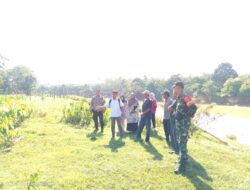 BABINSA BERSAMA BHABINKAMTIBMAS, KEPALA DESA DAN MASYARAKAT CEK LOKASI PENANAMAN JAGUNG DI DESA BERNAI DALAM KECAMATAN SAROLANGUN