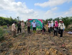 Dukung Ketahanan Pangan, Polsek Air Hitam Tanam Jagung Hybrida