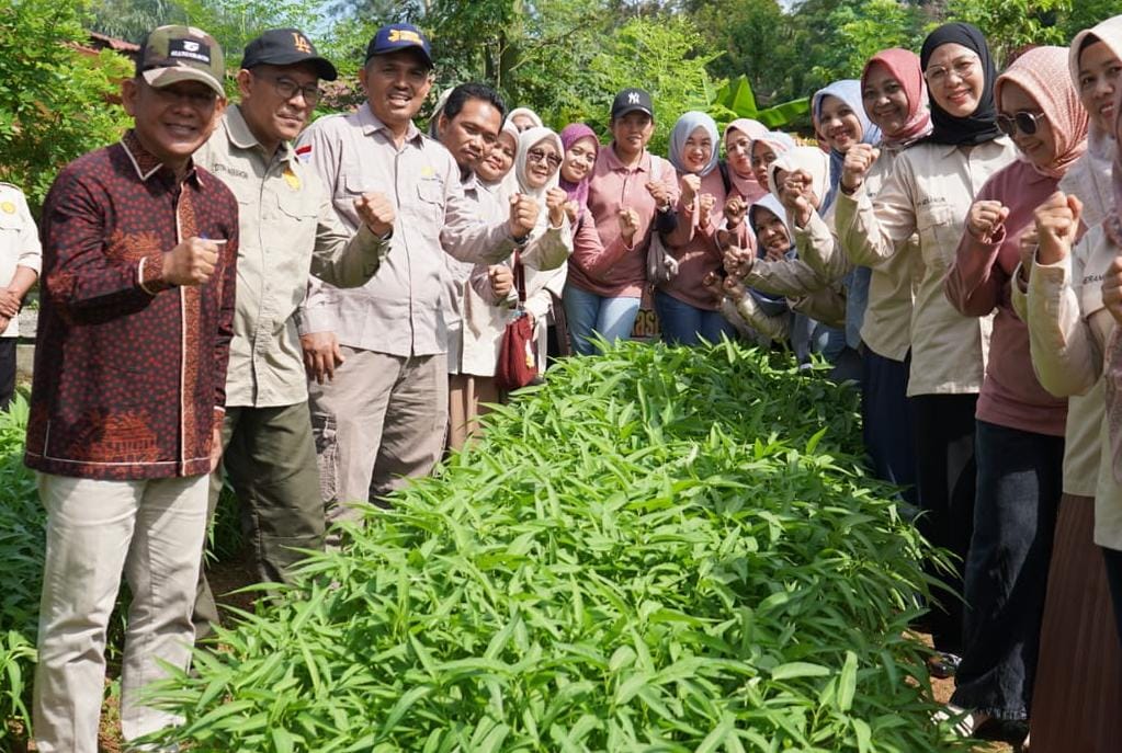 Wabup H A Khafidh Panen Sayur Perkarangan Pada Acara Si Mantan Pedas DWP Dinas TPH Merangin