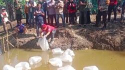 Wabup H A Khafidh Sebar Benih Ikan di Pulau Rengas Ulu