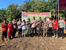 Polres Sarolangun Sinergi Masyarakat Dan Kelompok Tani Gelar Penanaman Jagung Kuartal III di Desa Bukit, Pelawan.