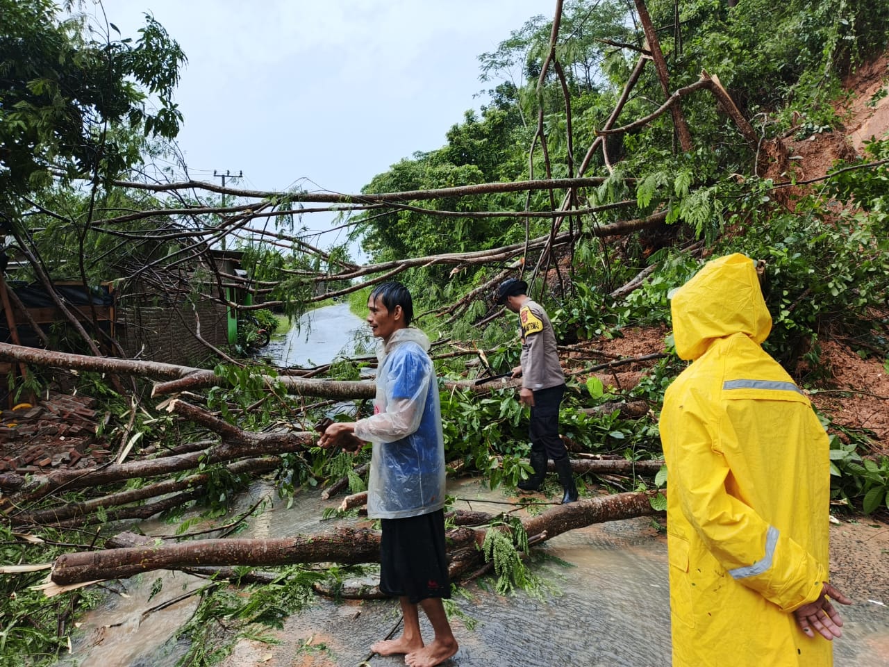 Paska Longsor Polsek Limau dan Warga Bersihkan Material Kayu di Tegineneng