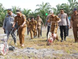 Bupati dan Unsur Forkopimda Tanam Jagung di Desa Mentawak