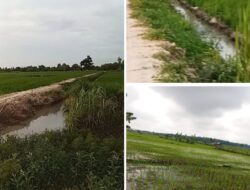 Diduga Dana Bantuan Optimalisasi Lahan (Oplah) Di 5 Kecamatan Kabupaten OKU Timur Tidak Tepat Sasaran