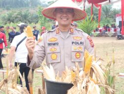 AKBP. Wendi Oktariansyah, S.I.K., M.H, Bersama Wakil Bupati Sarolangun Gerry Trisatwika. SE. Panen Raya Jagung Serentak Kuartal III Tahun 2025