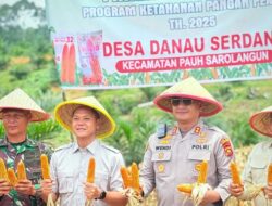 Wakil Bupati Sarolangun Dukung Panen Raya Jagung Serentak, Dorong Sarolangun Jadi Lumbung Pangan