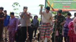 Dukung Swasembada Pangan 2025, Bupati Sarolangun bersama Forkopimda Sarolangun Lakukan Penanaman Jagung Serentak di Singkut